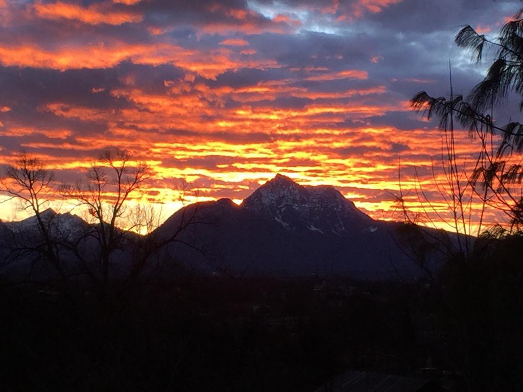 Villa Trapp Salzburg Ruang foto